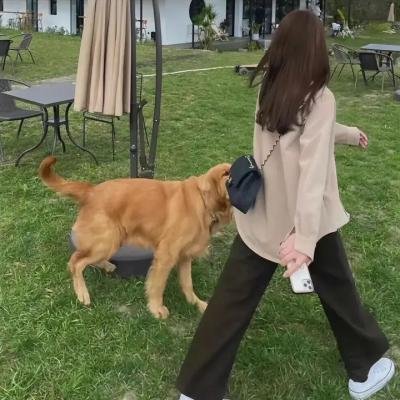 土豆侠第一季